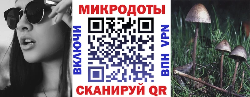 Купить где Спас-Клепики Псилоцибиновые грибы Cubensis